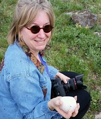 Images by Laura Lynn